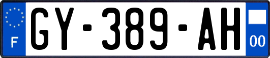 GY-389-AH