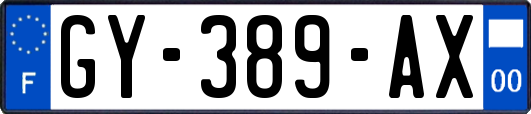 GY-389-AX
