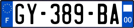 GY-389-BA