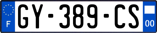 GY-389-CS
