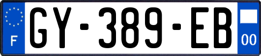 GY-389-EB