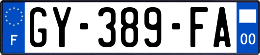 GY-389-FA