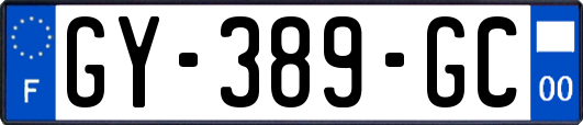 GY-389-GC