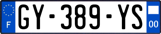 GY-389-YS