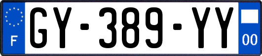GY-389-YY