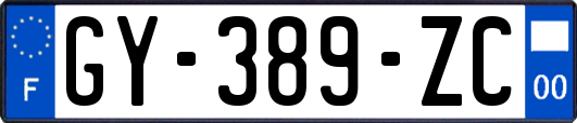 GY-389-ZC
