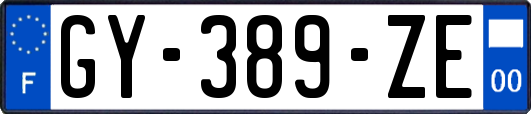 GY-389-ZE