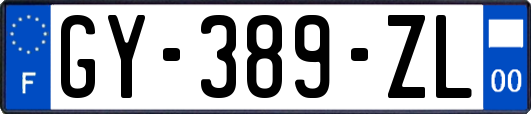 GY-389-ZL