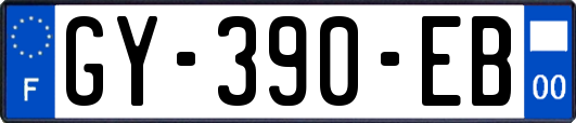 GY-390-EB
