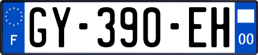 GY-390-EH