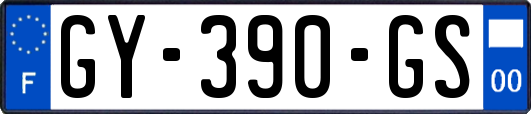 GY-390-GS
