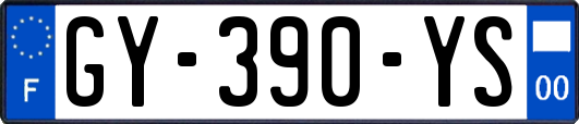 GY-390-YS