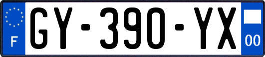 GY-390-YX