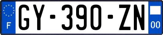GY-390-ZN