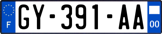 GY-391-AA
