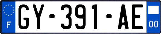 GY-391-AE