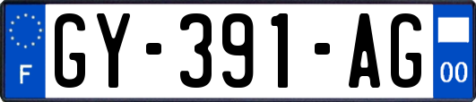 GY-391-AG