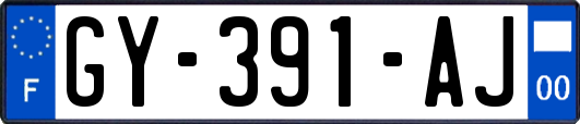 GY-391-AJ