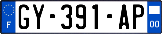 GY-391-AP