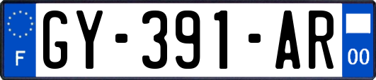 GY-391-AR