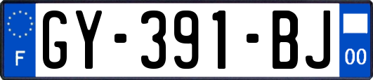 GY-391-BJ