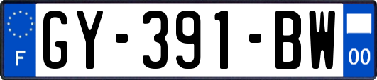 GY-391-BW