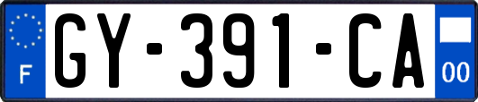 GY-391-CA