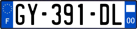 GY-391-DL