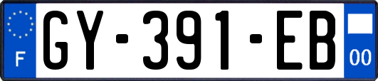 GY-391-EB