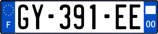 GY-391-EE