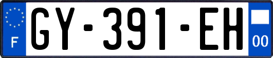 GY-391-EH