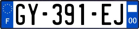 GY-391-EJ