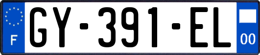 GY-391-EL