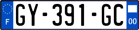 GY-391-GC