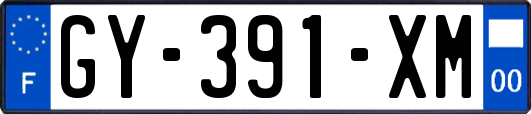 GY-391-XM