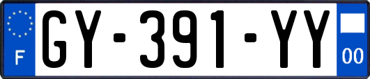 GY-391-YY