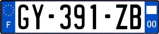 GY-391-ZB