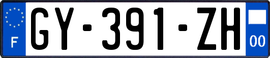GY-391-ZH
