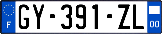 GY-391-ZL