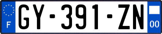 GY-391-ZN