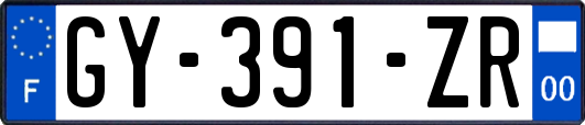 GY-391-ZR
