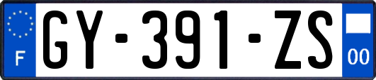 GY-391-ZS