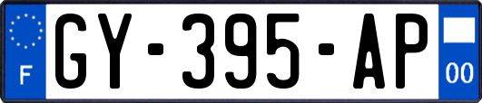 GY-395-AP