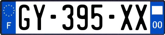 GY-395-XX