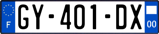 GY-401-DX