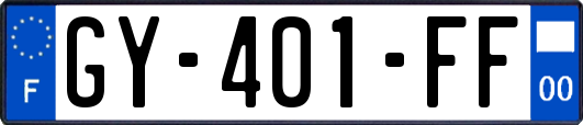 GY-401-FF