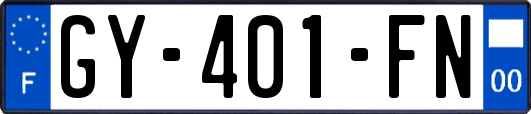 GY-401-FN