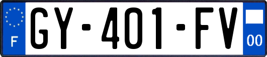 GY-401-FV