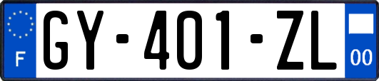 GY-401-ZL