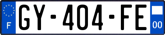 GY-404-FE